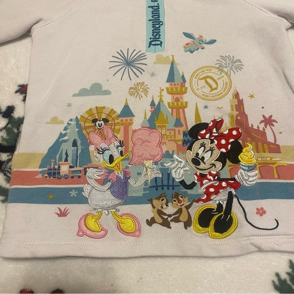 Disney Other - Disneyland Resort 1/4 zip